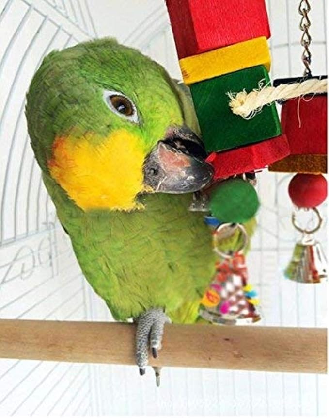 Litewoo Bird Parrot Parakeet Toys, Colorful Bite Wood Swing Toy for Small Medium Parakeet Cockatiel Budgie Cockatoo Macaw Conure Parrot（C）