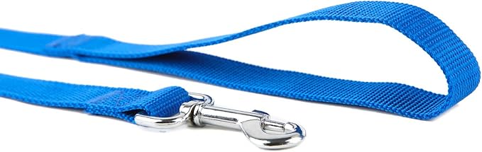 Nylon Dog Training Leash, Traction Rope, 4Ft /5 Foot /6 Feet Long, 5/8 inch 3/4 Inch 1 Inch Wide, for Small and Medium Dogs (Blue, 1'' x 20 FT)