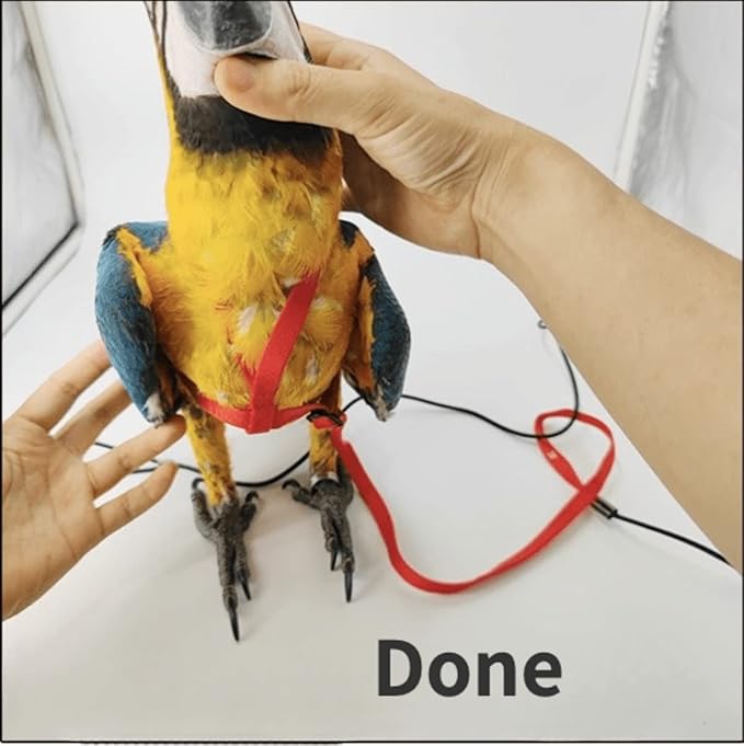 Adjustable Bird Harness with 78.7 Inch Leash, Outdoor Flying Training Rope Kit for Bird Parrots, Parrot Flying Rope Straps Outdoor Training Traction Rope for Small Medium Large Size Birds (S)