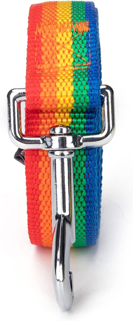 Strong Durable Nylon Dog Training Leash, 1 Inch Wide Traction Rope, 6 ft 10ft 15ft Long, for Small and Medium Dog (Rainbow, 10 Feet)