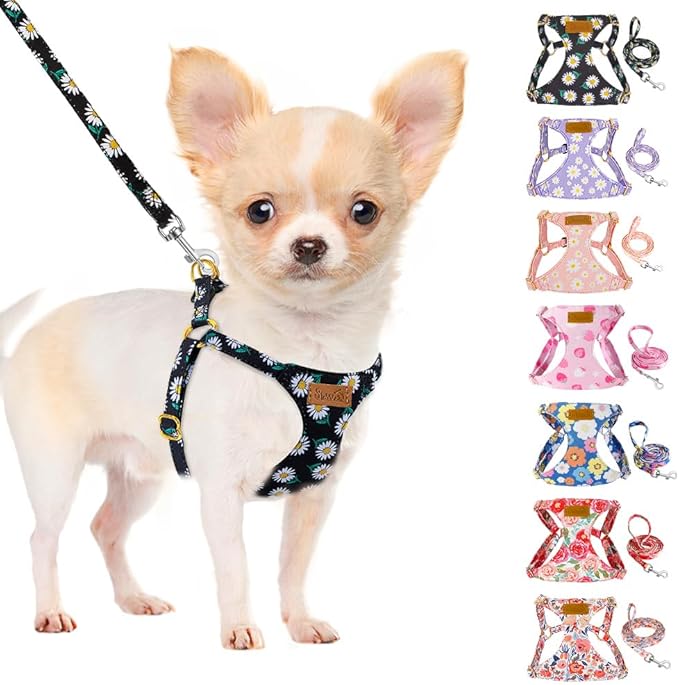 SlowTon No Pull Dog Harness with Leash - Soft Lightweight Floral Pattern Puppy Harness, Adjustable Pet Harness for Small Medium Dogs (Black Daisy S)