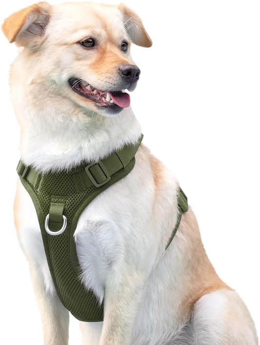 No Pull Dog Harness for Small Medium Large Dogs - Adjustable Two-Layer Mesh Dog Vest with Dual Clip, Escape Proof, Quick Release, Lightweight Breathable Mesh for Walking Hiking (Misty Green,XS)