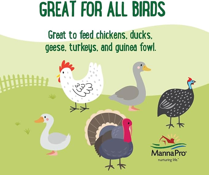 Manna Pro Farmhouse Favorites Critter Combo Crunch Bug Jug – Engaging Poultry Treat – Blend of Black Solider Fly Larvae, Mealworms & Shrimp – Great Source of Protein – Encourages Foraging – 25oz