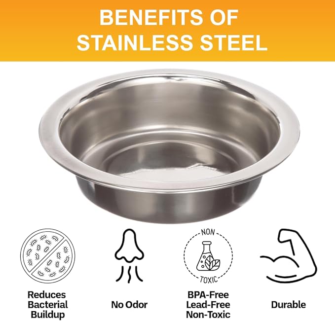 Neater Pet Brands 1 Cup (8 oz.) Shallow Stainless Steel Cat Bowls, Set of 2 Neater Feeder Replacement Bowls (Express & Deluxe), Metal Cat Dishes for Food and Water, Whisker Friendly, Dishwasher Safe