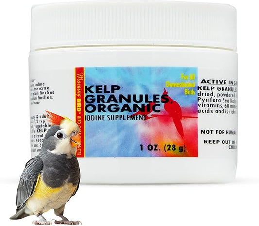 Morning Bird Kelp Granules 1 Oz – Iodine Supplement for Birds – Supports Feather Growth, Molting & Metabolism – Rich in Amino Acids, Trace Minerals & Natural Vitamins – Clean Nutrition for All Birds