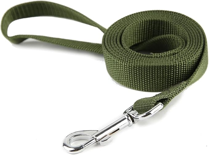 Nylon Dog Training Leash, Traction Rope, 4/5/6 Feet Long, 3/4 Inch 1 Inch Wide, for Small and Medium Dogs (1'' x 4 FT, Green)