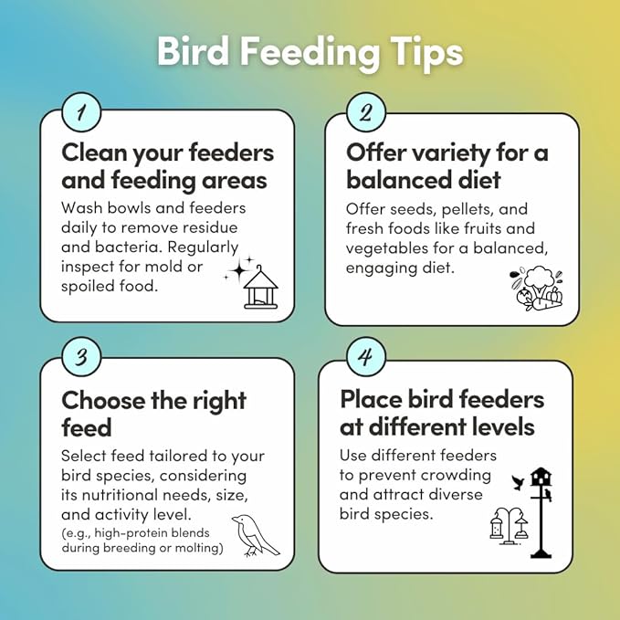 Mycelium Organic Macaw & Cockatoo Plus Bird Food (5 LBS) | High-Protein Bird Seed for Large Birds | Vitamin-Enriched Daily Nutrition | Skin & Feather Support | Non-GMO & USA Made