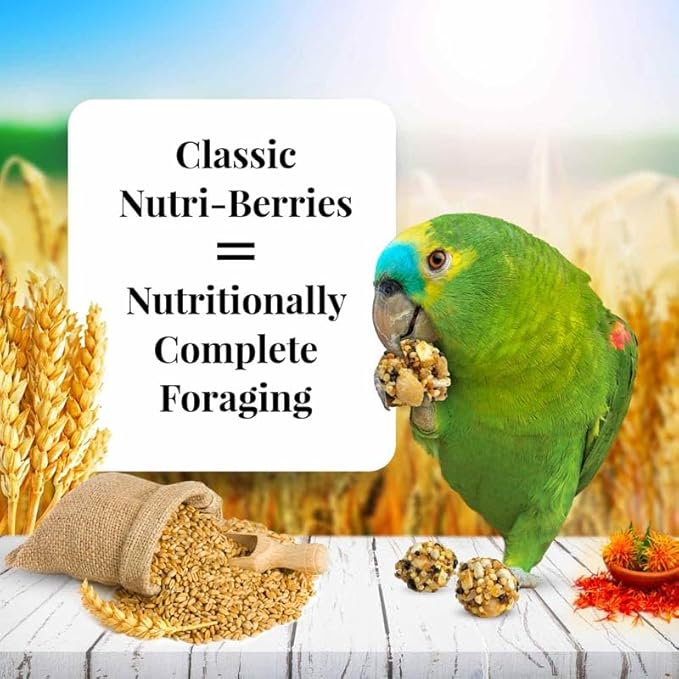 LAFEBER'S Classic Nutri-Berries Pet Bird Food, Made with Non-GMO and Human-Grade Ingredients, for Parrots, 14 lb