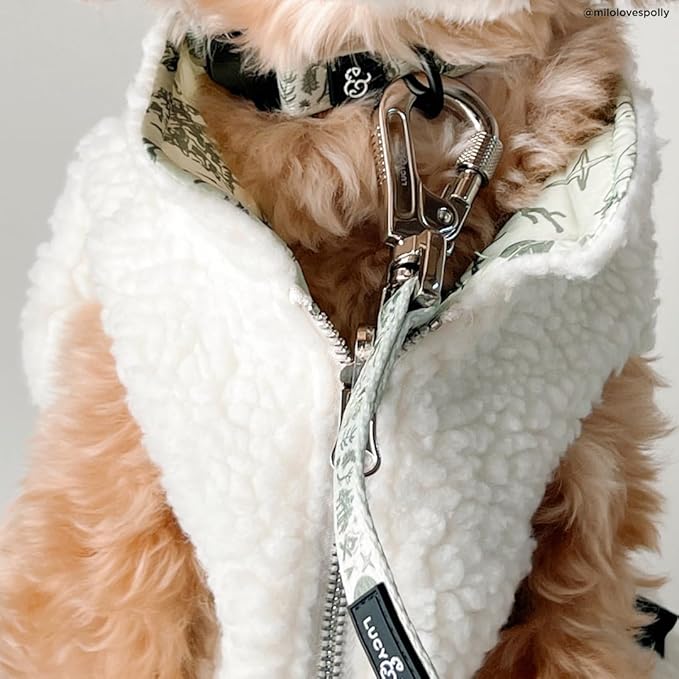 Lucy & Co. 5 Foot Designer Dog Leash for Small, Medium or Big Dogs or Puppies Puppy – Pet Accessories & Supplies- Small-Green Outdoor Plaid