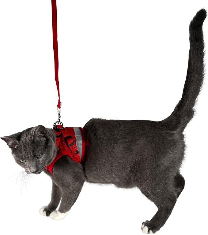 Travel Cat Harness and Leash Set - Adjustable Fit Mesh Cat Harness and Reflective Strap - Comfort Walking Vest for Kitten for Outdoor Walking, Hiking (Medium, Red)