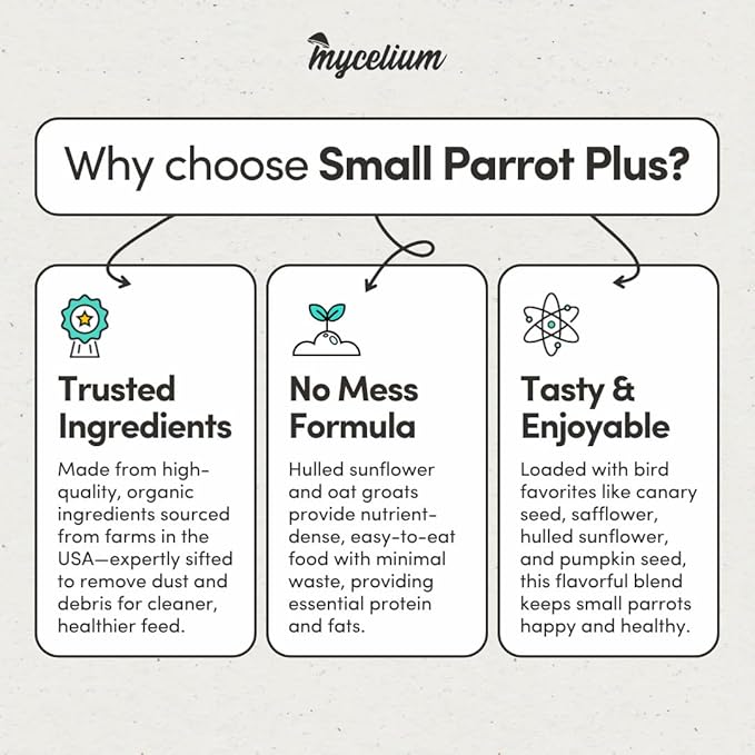 Mycelium Organic Small Parrot Plus Bird Seed (5 LBS) | Premium Food for Small Pet Birds | High-Protein, Vitamin-Fortified Daily Nutrition | Supports Brain & Heart Health | USA Made, Non-GMO