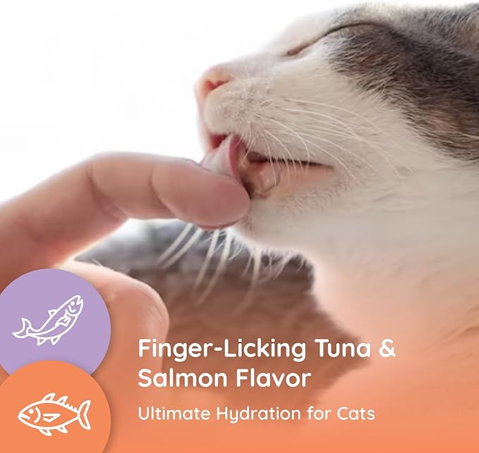 Petralyte Cat Hydration Electrolyte and Cat Joint Supplement | Hydration Support for Cats w/Glucosamine, Chondroitin, L-Glutamine, Taurine, Lysine & Prebiotics | Sample Pack | 8 Packets