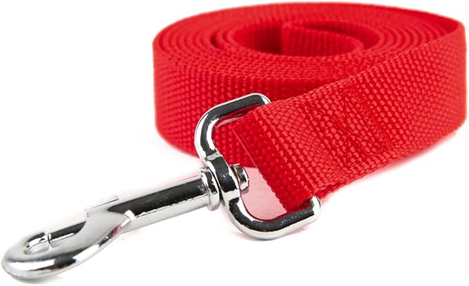 Nylon Dog Training Leash, Traction Rope, 4Ft /5 Foot /6 Feet Long, 5/8 inch 3/4 Inch 1 Inch Wide, for Small and Medium Dogs