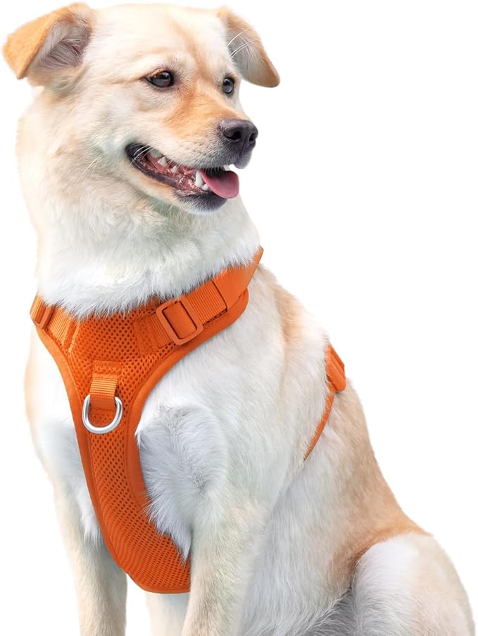 No Pull Dog Harness for Small Medium Large Dogs - Adjustable Two-Layer Mesh Dog Vest with Dual Clip, Escape Proof, Quick Release, Lightweight Breathable Mesh for Walking Hiking (Orange,XS)