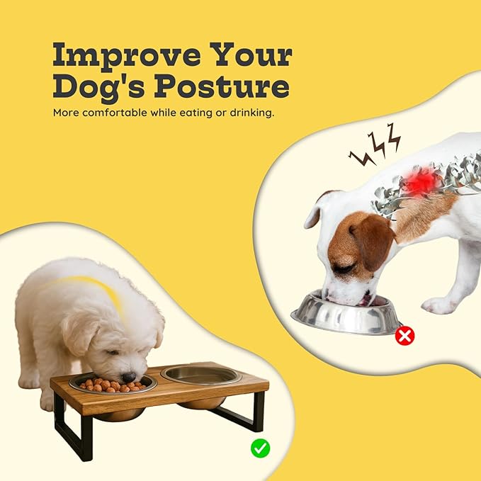 Elevated Dog Bowls, Small 4 Height Mango Wood Raised Dog Bowl Iron Stand with 2 Pcs 16oz Stainless Steel Pet Dishes | Food & Water 2Cup/0.47L Capacity Nonslip Cats Feeding Station