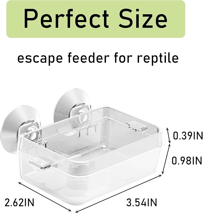Tfwadmx 2 Pcs Chameleon Bowl, Reptile Feeding Food, Water Dish Gecko Worm Feeder Anti-Escape Chameleon Supplies Accessories for Lizard Bearded Dragon Snakes