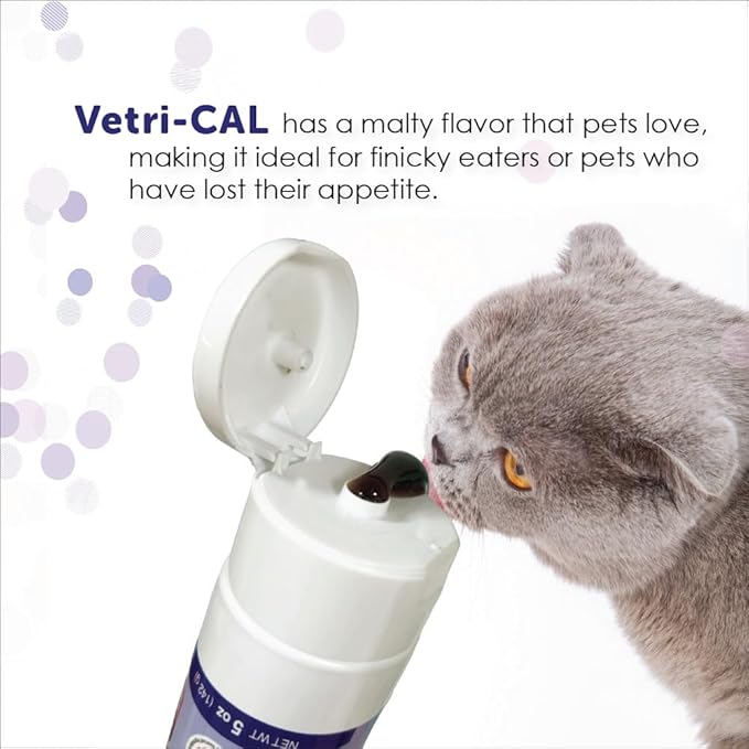 High Calorie Nutritional Gel for Dogs & Cats – Appetite Booster with Omega 3-6-9, Vitamins A-D-E-B – Recovery & Energy Support – Tasty Malt Flavor – 5 oz Tube