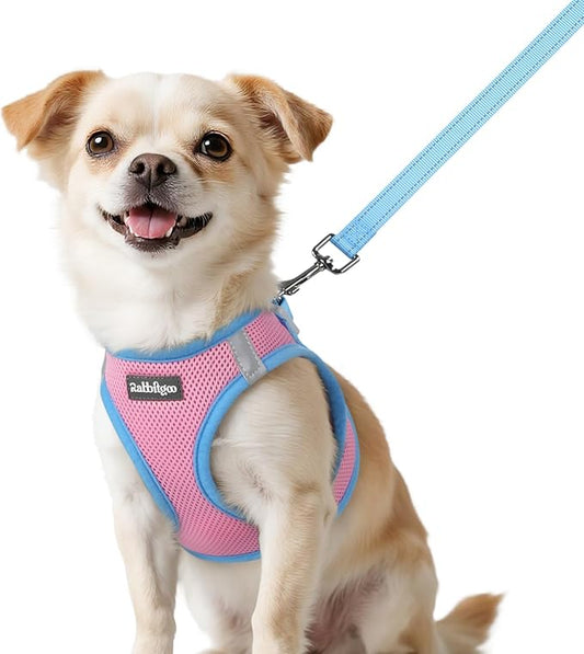 rabbitgoo Dog Harness Small Sized and Leash Set, Step-in Breathable Pet Harness, Soft Walking Reflective Puppy Vest for Small Dogs, Pink & Light Blue, XXS