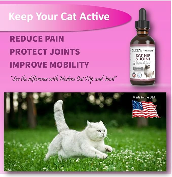 NODENS CAT Hip and Joint Glucosamine for Cats with Chondroitin - Cat Pain Relief from Inflammation - Cat Joint Supplement for Improved Joint Flexibility - Natural Liquid cat Health Supplies 59ml