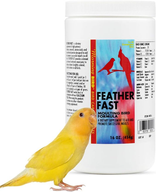 Morning Bird Feather Fast 16 Oz – Multi-Vitamin During Molt - Molting Support Supplement for Bird – Amino Acid & Vitamin Powder Formula– Promotes Feather Growth, and Full Plumage – for All Adult Birds