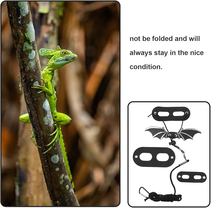 BESPORTBLE Leopard Gecko Accessories Lizard Harness Pet Hauling Cable Reptile Lizard Harness Small Animals Leashes