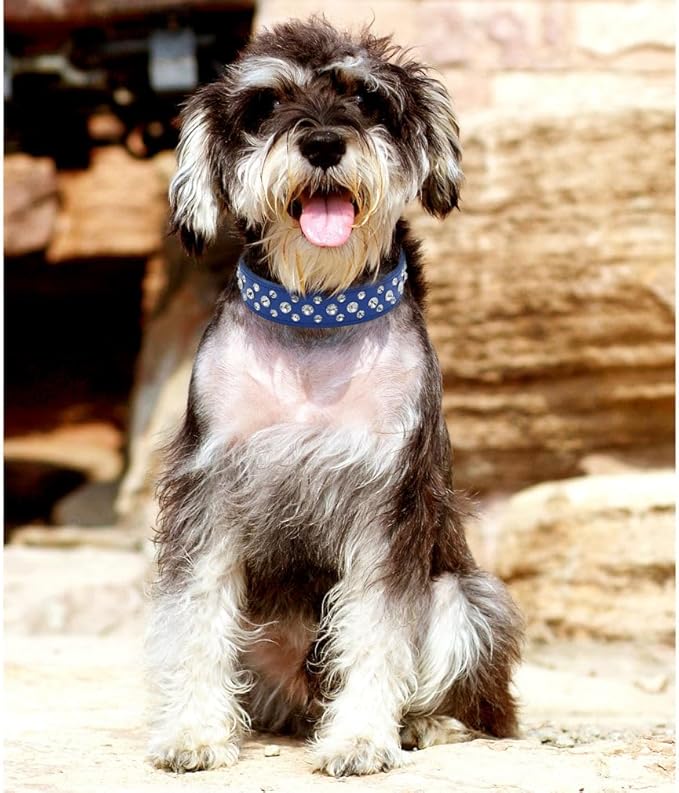 Blue Dog Collar XXS, Bling Diamond Cat Collar Rhinestone Faux Leather Fancy Crystal Glitter Pretty Jewel Female Puppy Collars for XXS XS Small Medium Large Pet Girl Dogs, XXSmall