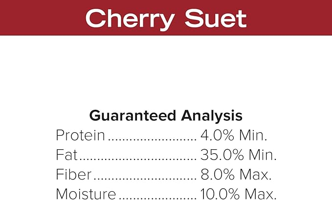 Blue Seal Cherry Suet Cakes for Wild Birds - No Mess Suet Feed, Food for Woodpeckers, Cardinals, Siskins, Sparrows & More - 11oz Suet Feeder, Bird Seed Cakes (Pack of 12)