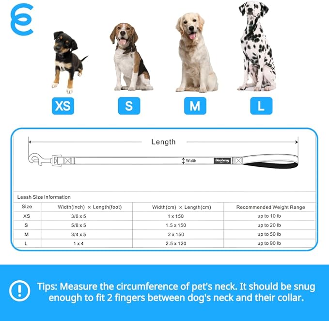 Blueberry Pet Essentials Baby Pink Dog Leash for Large - 4' * 1" Dogs | Heavy Duty Nylon Lead | Lightweight Puppy & Cat Leash for Walking & Training