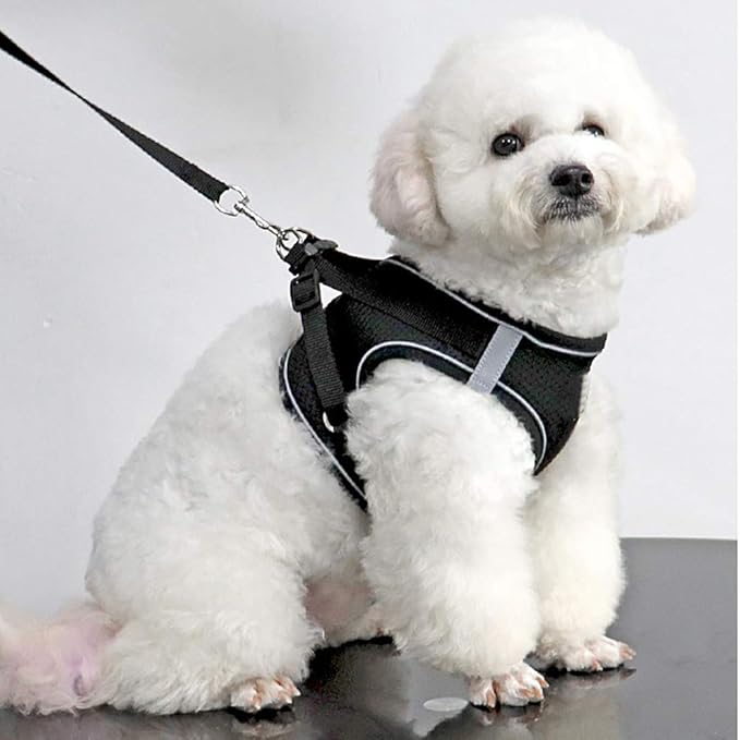 Puppy Harness and Leash Set, Escape Proof Dog Cat Vest Harness for Cats Small Medium Dogs, Adjustable Reflective Step in Harness,Soft Mesh Comfort Fit No Pull No Choke (Xlarge(18.5"-20.4"), Black)
