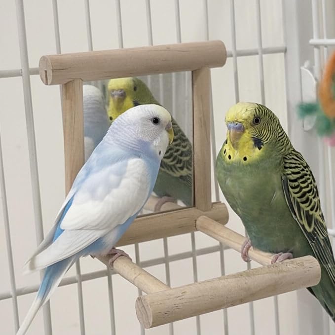 Bird Mirror Toy for Parakeet, Budgie, and Lovebirds - MINI-FACTORY Safe Enrichment Cage Accessory with Natural Wood Perch for Small & Medium Birds