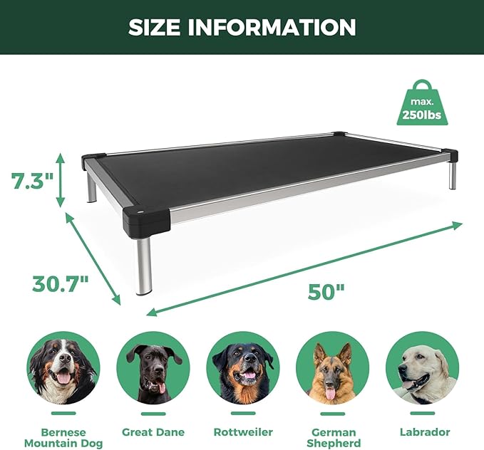 FXW TitanNest Chew-Proof Elevated Dog Bed, Raised Cot for Indoor/Outdoor/Camping Use, Durable & Waterproof Cooling Pet Bed for Large Dogs, 50.0" L x 31.0" W x 7.3" H, Black