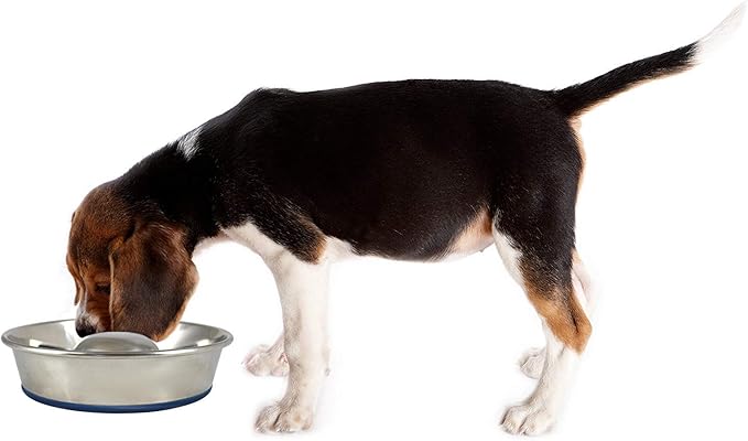 OurPet's DuraPet Slow Feed Premium Stainless Steel Dog Bowl, Silver (2040010301)
