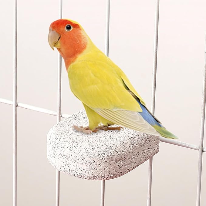 4Pcs Bird Beak Grinding Stone, Bird Perches Calcium Parrot Perch Stand Parrot Teeth Mouth Molar Cage Accessories Platform Paw Grinding Sticks Jumping Stand for Budgie Cockatiel Conure Finch