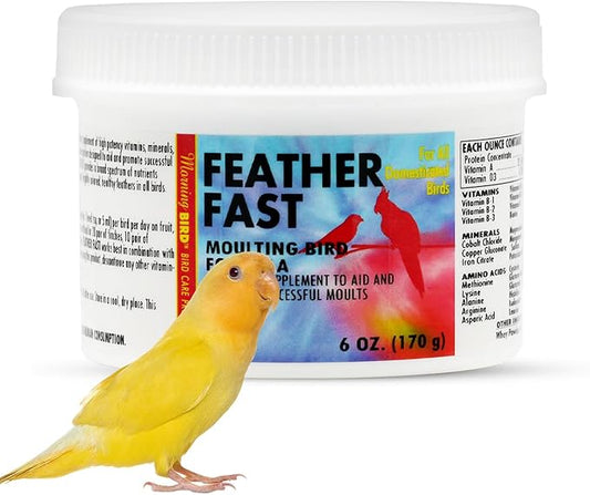Morning Bird Feather Fast 6 Oz – Multi-Vitamin During Molt - Molting Support Supplement for Birds – Amino Acid & Vitamin Powder Formula– Promotes Feather Growth, and Full Plumage – for All Adult Birds