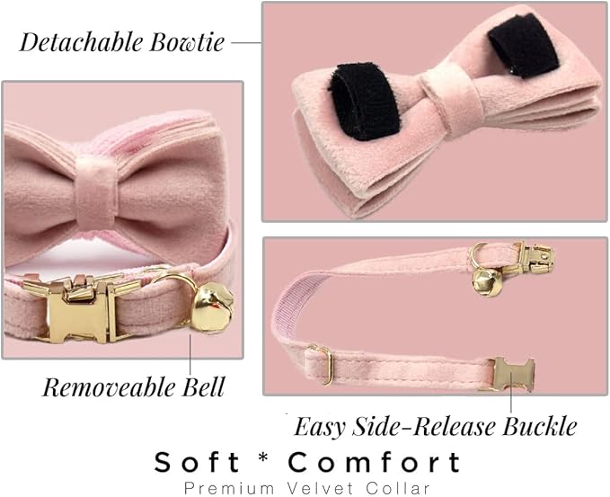 Personalized Cat Collar with Gold Buckle and Engraved Name Tag