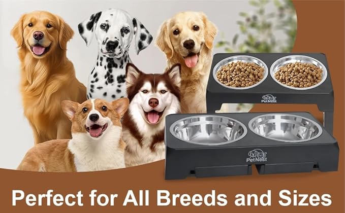 PETNEST Adjustable Elevated Dog Bowls with Two Stainless SteelBowls | Food Bowl Stand for Small, Large Breed | Raised Food Feeder | Raised Pet Bowls | Dog Bowls Elevated Stand 4 Adjustable Heights