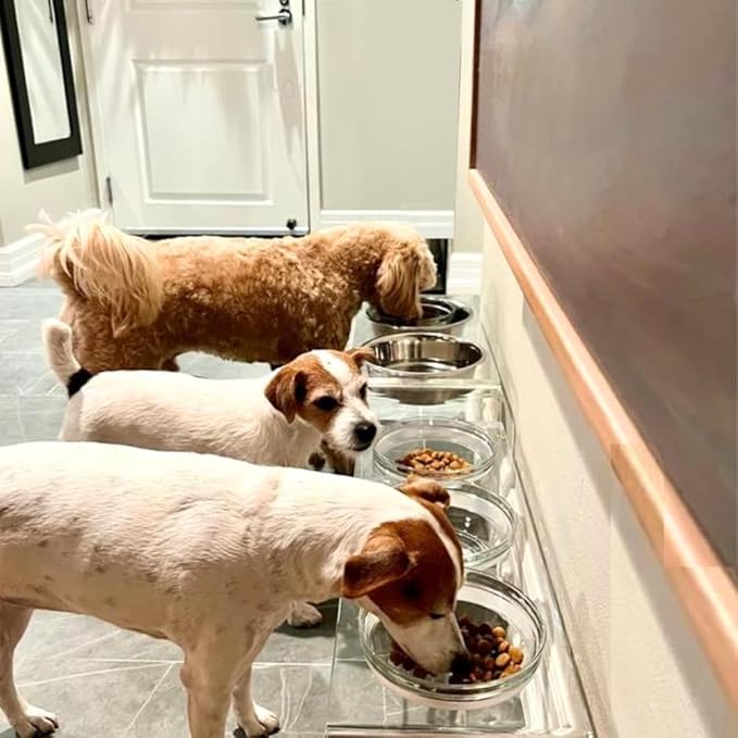 Hiddin Double Elevated Dog Bowl Stand for Medium or Large Dogs, All Breeds, Clear Acrylic 7 Inch Raised Dog Bowl Stand with Two Stainless Steel Bowls for Food and Water - 3.5 Cups Each Dish