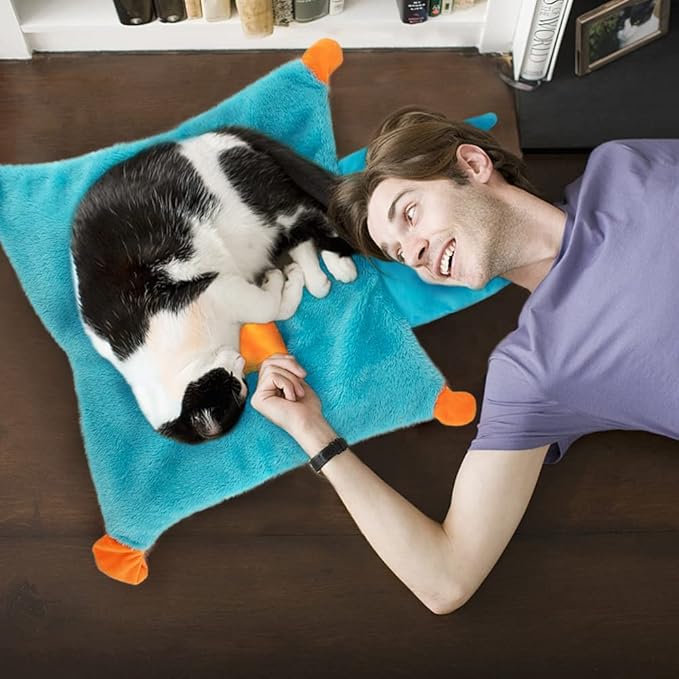 AWOOF Cute Soft Catnip Mat, Interactive Cat Toys for Indoor Cats
