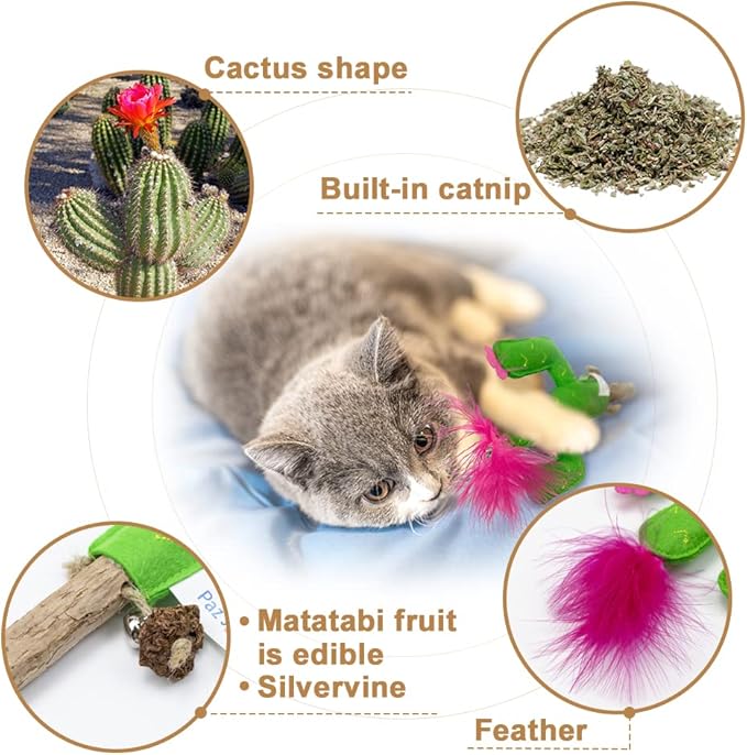PAZ'S GIFT Catnip Toys - Cat Kick & Rope Toys for Indoor Play, Cat & Kitten Teething Chew Toys for Aggressive Chewing & Teeth Cleaning (Polygonum tinctorium Cactus)
