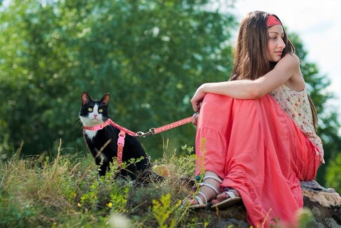 Cat Harness and Leash Set Gold Moons Stars Soft Nylon Escape Proof Adjustable for Kittens Small Animals Glow in The Dark (Pink)