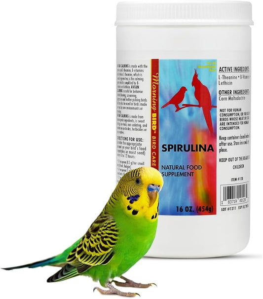 Morning Bird Spirulina, Supplement for Caged Birds, Organic Bird Food Supplement with Vitamins, Proteins, and Amino Acids for Parakeets, Cockatiels, Budgies, Finches, Canaries, and Parrots, 16 oz