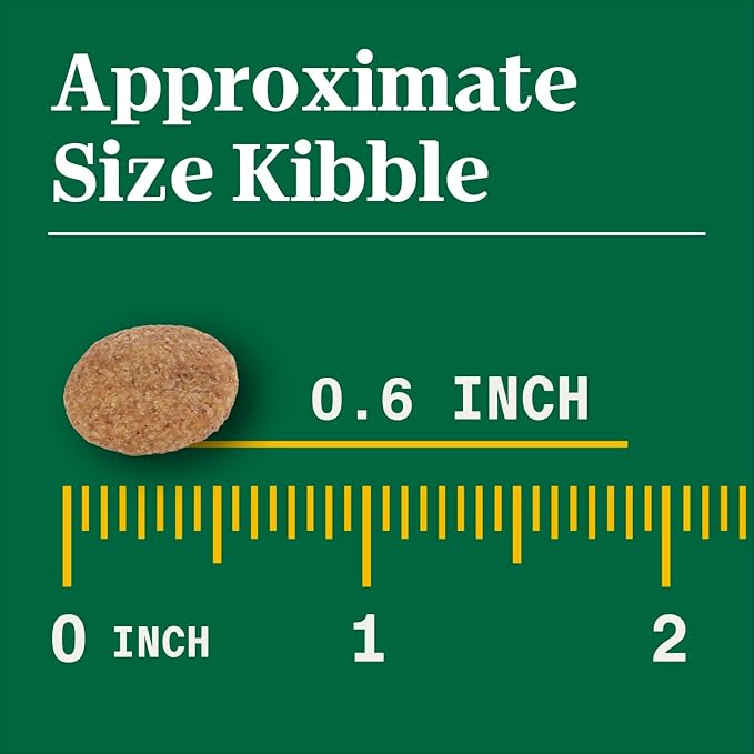 Nutro Natural Choice Chicken & Brown Rice Adult Large Breed Dog Food Dry Recipe, 13 lb. Bag