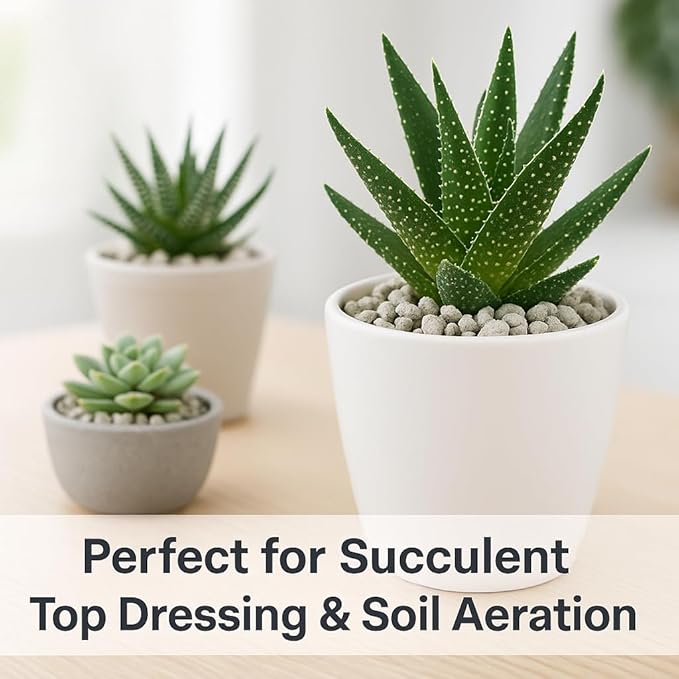 Horticultural Pumice for Plants, Natural Pumice Stone Soil Amendment, 3/8-1/4 inch, Made in USA (1 Quart - 0.9 lb)