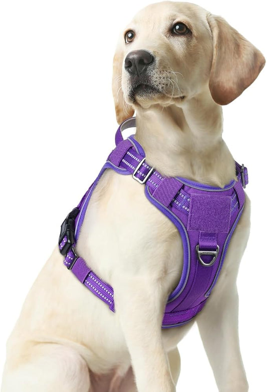 rabbitgoo Dog Harness Medium Sized No Pull, Tactical Service Pet Vest with Molle and Control Handle, Adjustable and Reflective Military Harness for Easy Walking and Training, Purple, M