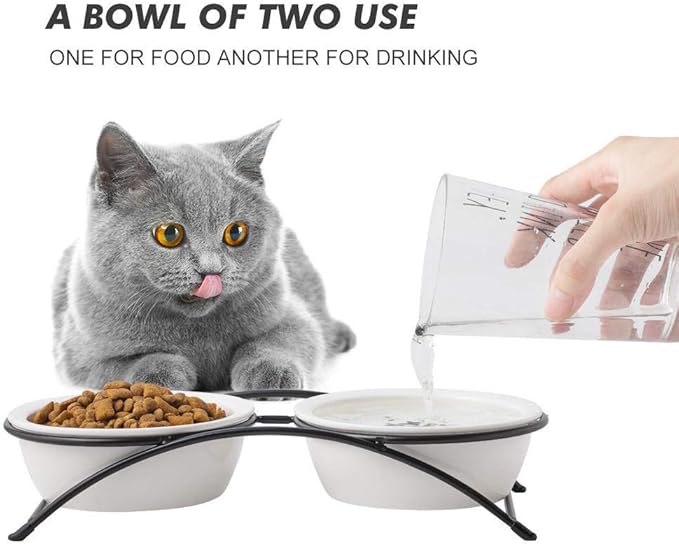 ZONEYILA Elevated Cat Bowls, Dog Bowl, Ceramic Raised Cat Food Water Bowl Set with Metal Stand for Indoor Cats Small Dog, Prevent Neck Pain,12 Ounces, Cute Paw Pattern