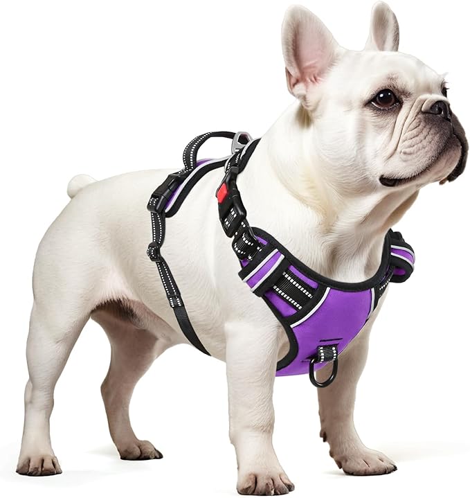 Timos Dog Harness Small Sized, No Pull with Neck Lockable Snap,No Choke Front Clip Dog Reflective Harness,Adjustable Metal Rings 3 Buckles,Easy Control Handle for Small Dogs Purple S