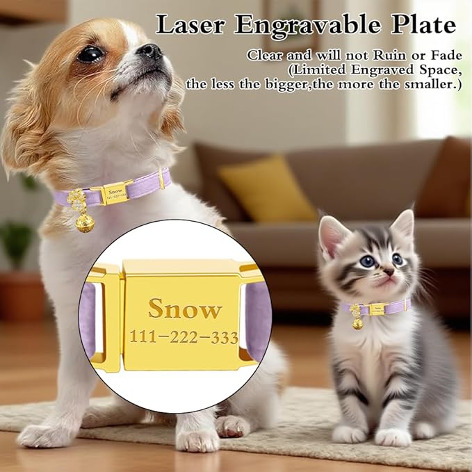Personalized Breakaway Cat Collars - Magnetic Buckle, Bell - Safety Quick Release, Customized for Girls & Boys Cats- (Velvet-Light Purple)