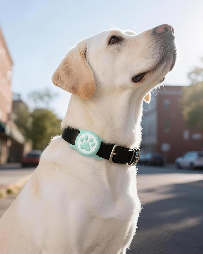 IP68 Waterpoof Dog Airtag Holder, Stretchy Silicone Full Body Covered Apple Air Tag Holder for Dog Cat Collar Fit All Width Collar (Black/Green/Blue/Pink, 4 Pack)