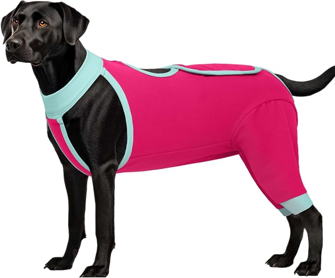 ROZKITCH Dog Surgery Leg Sleeve Rear Legs, Male Female Pet Prevent Licking Wound Elbow Knee Protector, Dog Recovery Suit Cone Collar Alternative Pants Shirt for Wound Heal Wrap Rosered L
