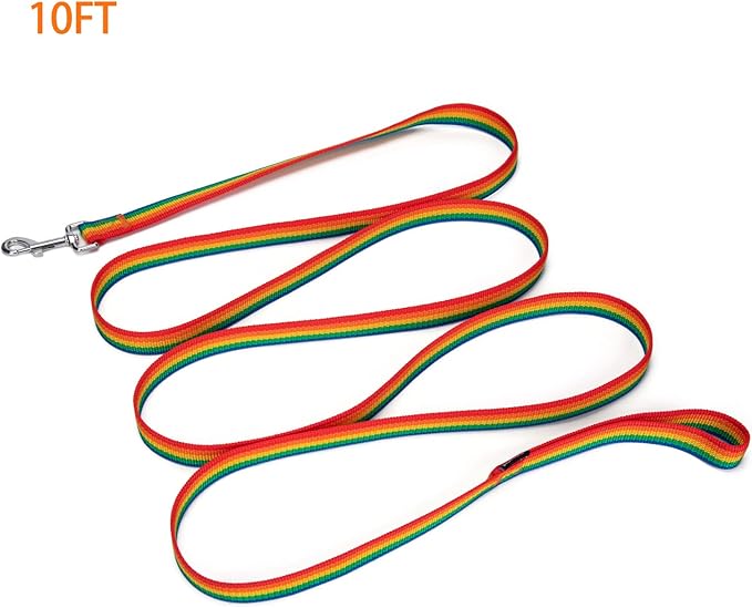 Strong Durable Nylon Dog Training Leash, 1 Inch Wide Traction Rope, 6 ft 10ft 15ft Long, for Small and Medium Dog (Rainbow, 10 Feet)